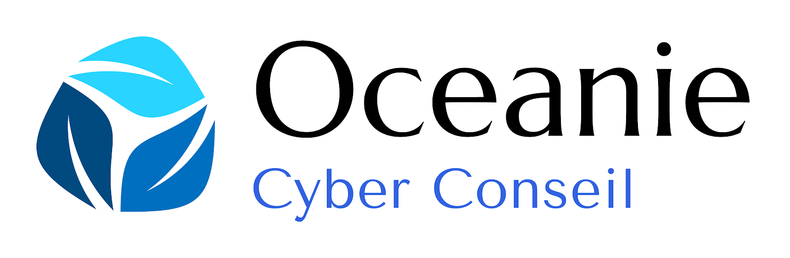 OCEANIE CYBERCONSEIL